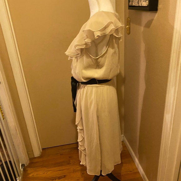 JBS dress Tan & Black size 12. - Picture 2 of 7